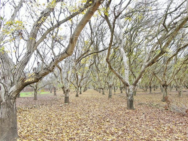 20800 Eliott Rd, Lockeford, CA 95237