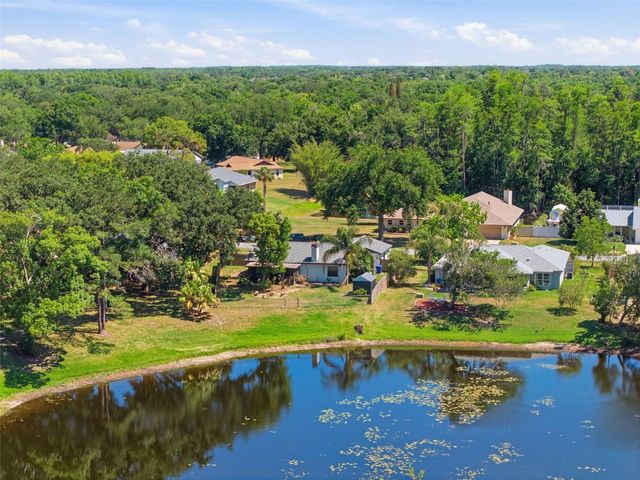 23057 BRIGHTON PLACE, Land O Lakes, FL 34639