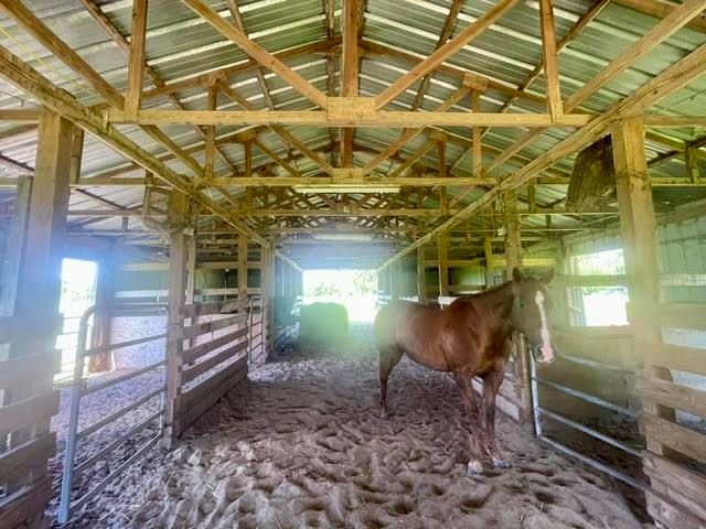 206 Back Project Road, Schriever, LA 70395
