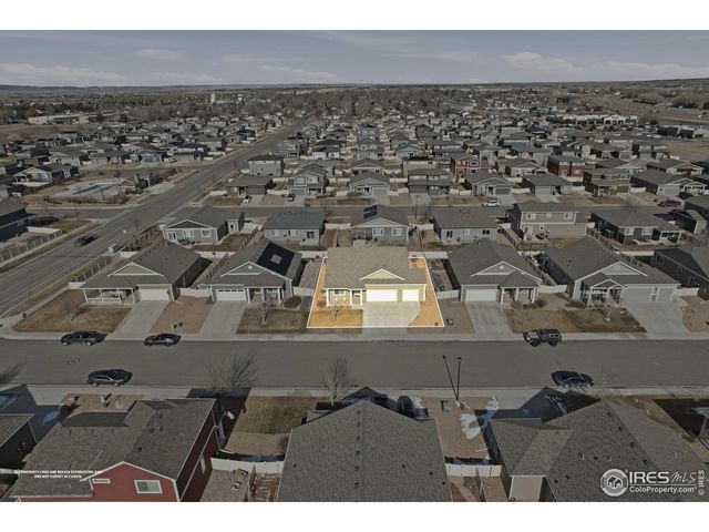 3836 Eucalyptus St, Wellington, CO 80549