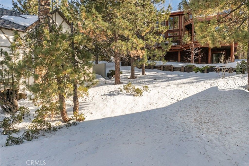Image 11 of property listing at 0 Cove Drive, Big Bear Lake, CA 92315