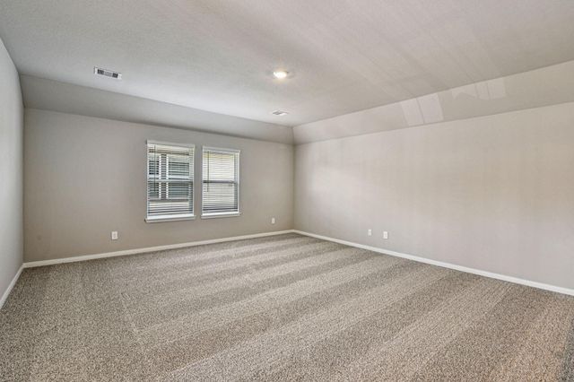 17326 Teddy Trace Drive, Waller, TX 77484