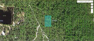 60 E STREET, Lake Wales, FL 33898