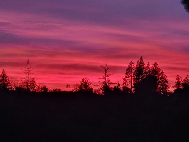 13080 Twin Pines Rd, Sutter Creek, CA 95685