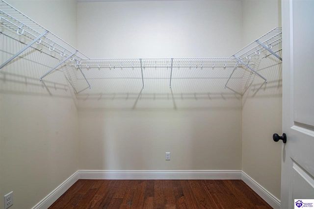 295 Piping Rock Road, Brandenburg, KY 40108