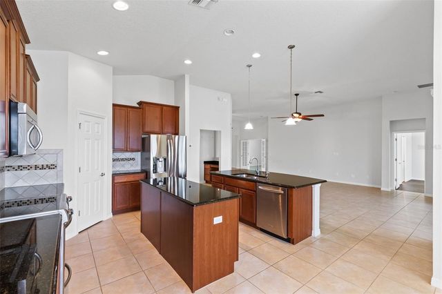 30139 HACKNEY LOOP, Mount Dora, FL 32757