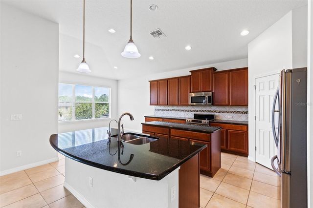 30139 HACKNEY LOOP, Mount Dora, FL 32757