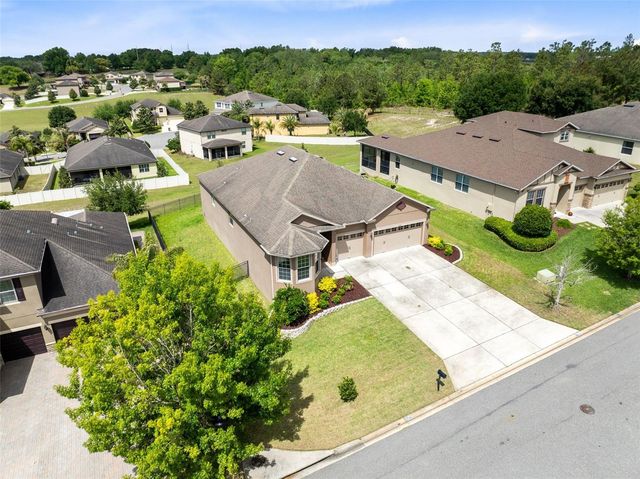 30139 HACKNEY LOOP, Mount Dora, FL 32757
