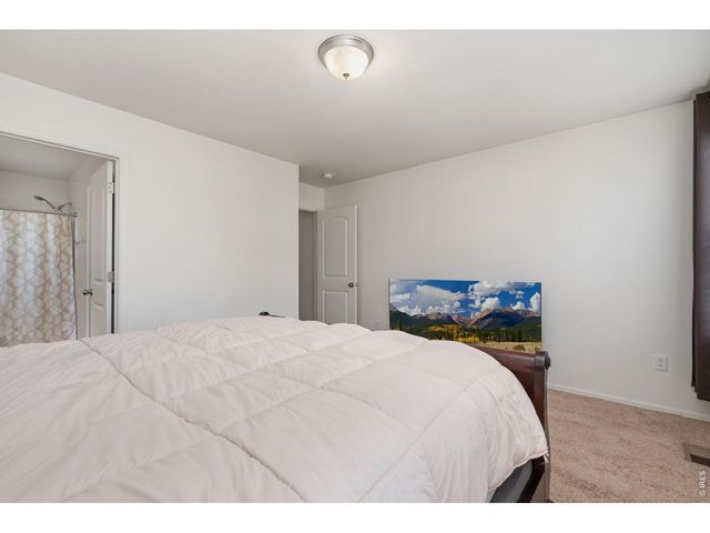 763 Dakota Way, Windsor, CO 80550