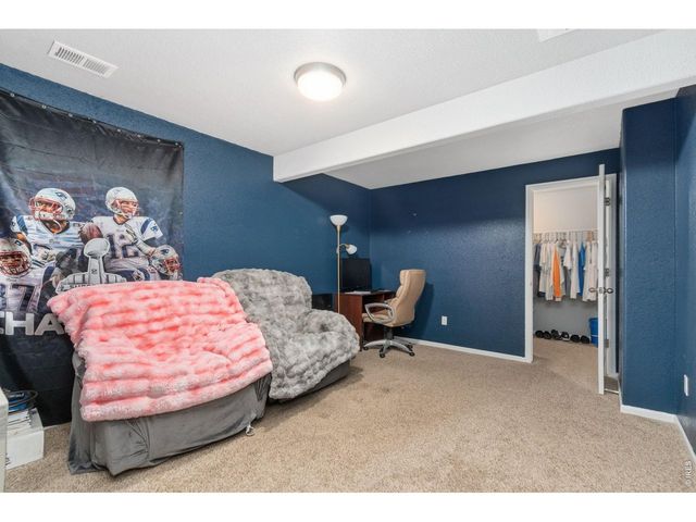 763 Dakota Way, Windsor, CO 80550