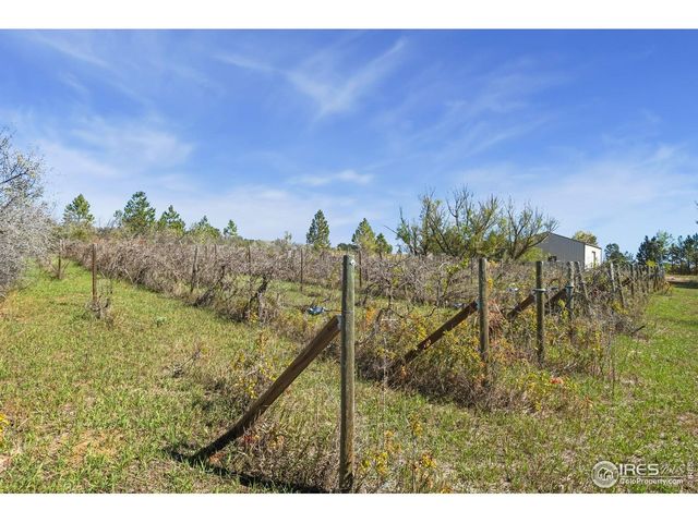 2832 E County Road 60, Wellington, CO 80549