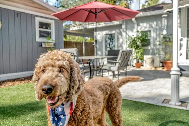 3002 W ALLINE AVENUE, Tampa, FL 33611