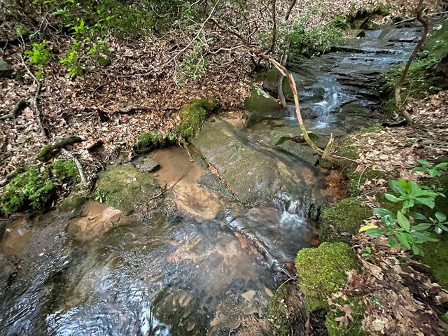 64 Kristin Lane, Ellijay, GA 30540