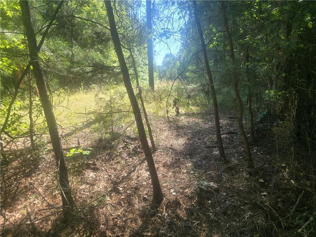 12.3 acres 243 Highway, Townville, SC 29689