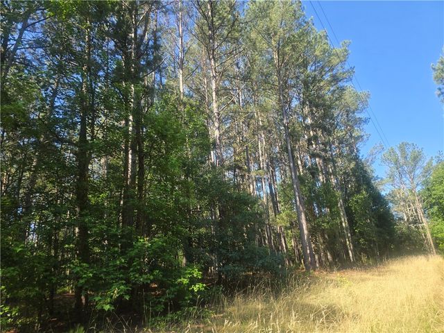 12.3 acres 243 Highway, Townville, SC 29689