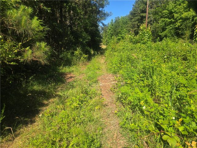 12.3 acres 243 Highway, Townville, SC 29689