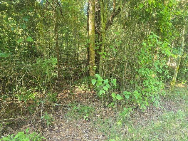 12.3 acres 243 Highway, Townville, SC 29689