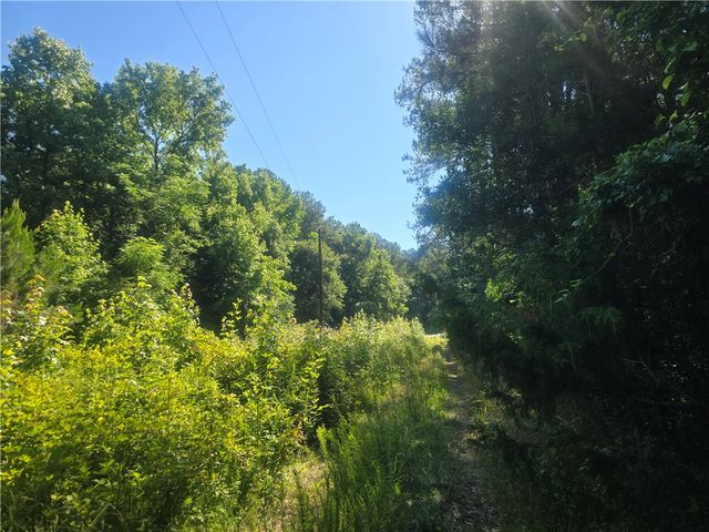 12.3 acres 243 Highway, Townville, SC 29689
