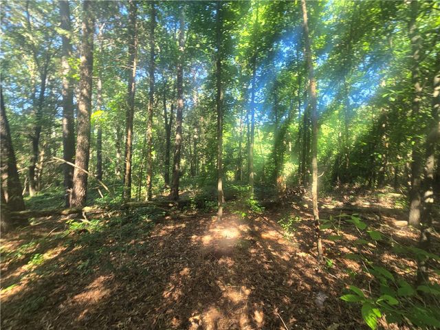 12.3 acres 243 Highway, Townville, SC 29689