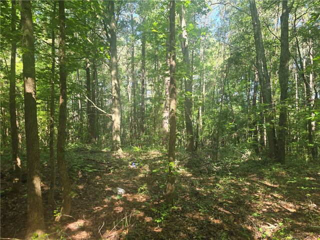 12.3 acres 243 Highway, Townville, SC 29689