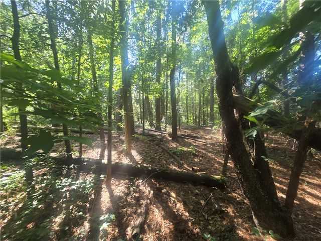 12.3 acres 243 Highway, Townville, SC 29689