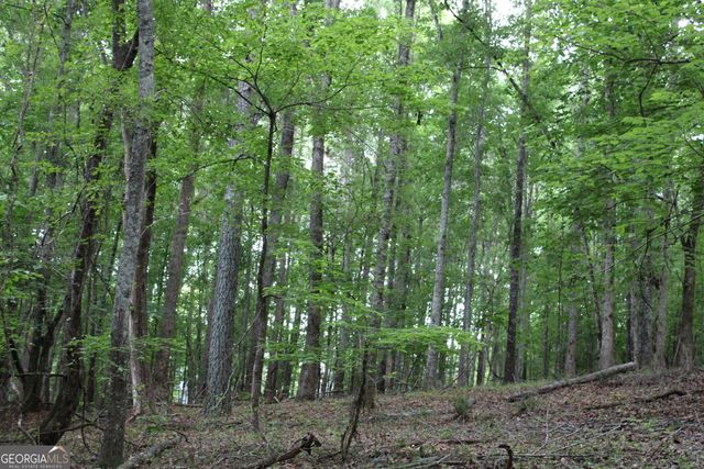 1 Mount Moriah Road, Auburn, GA 30011