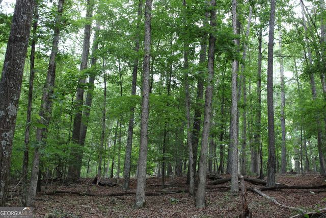 1 Mount Moriah Road, Auburn, GA 30011