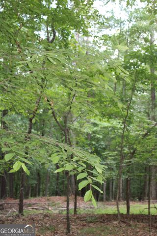 1 Mount Moriah Road, Auburn, GA 30011