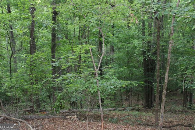 1 Mount Moriah Road, Auburn, GA 30011
