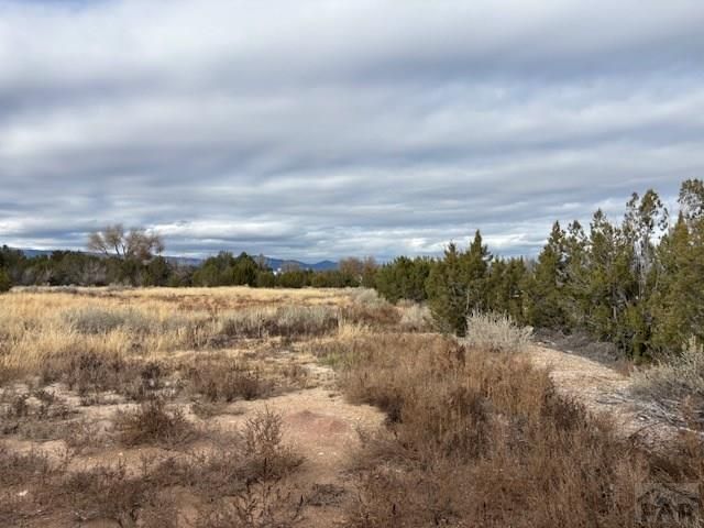 490 A St, Penrose, CO 81240