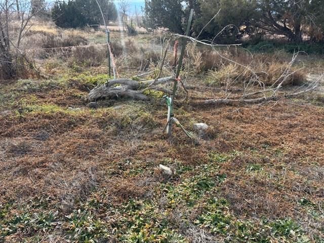 490 A St, Penrose, CO 81240