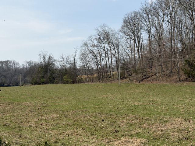 6 N Lick Creek Rd, Franklin, TN 37064
