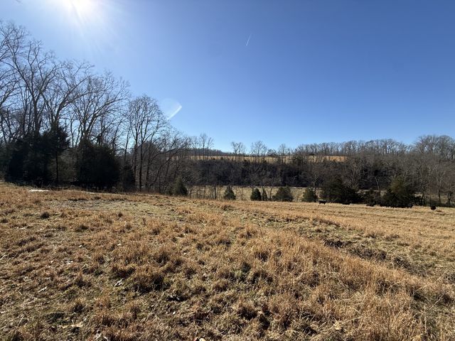 6 N Lick Creek Rd, Franklin, TN 37064