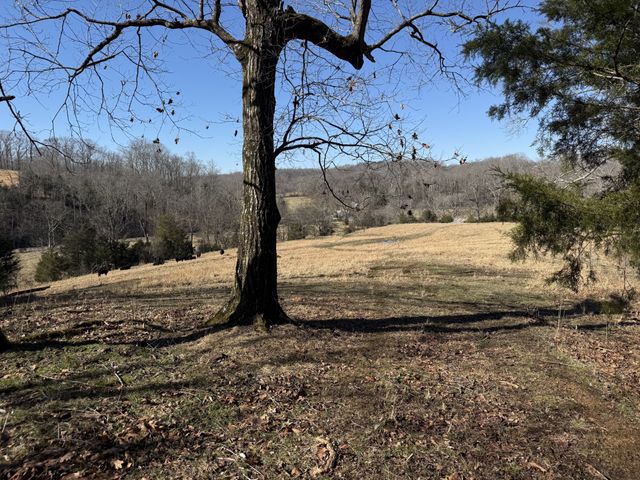6 N Lick Creek Rd, Franklin, TN 37064