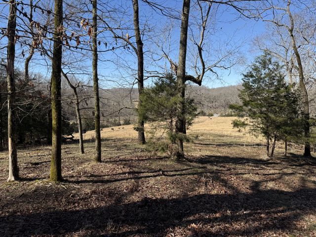 6 N Lick Creek Rd, Franklin, TN 37064