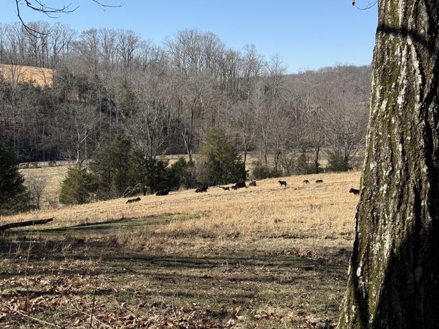 6 N Lick Creek Rd, Franklin, TN 37064