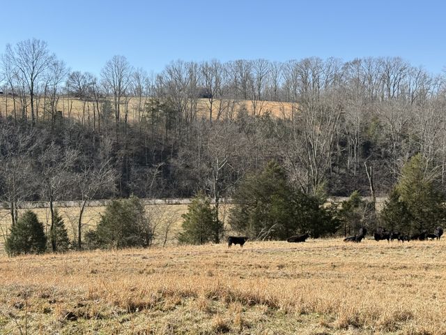 6 N Lick Creek Rd, Franklin, TN 37064