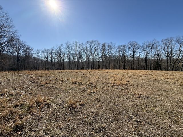 6 N Lick Creek Rd, Franklin, TN 37064