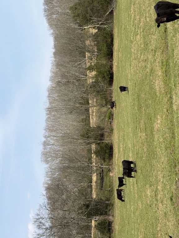 6 N Lick Creek Rd, Franklin, TN 37064