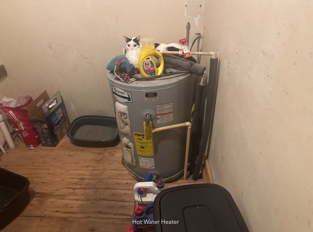 1047 Perry Switch Rd, Jackson, TN 38301