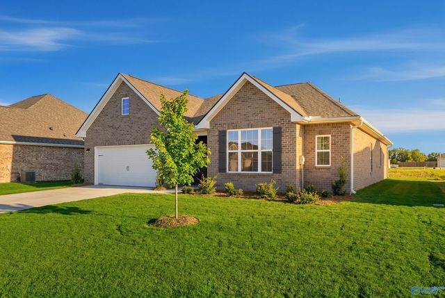 110 Lucy Lynn Boulevard, Meridianville, AL 35759