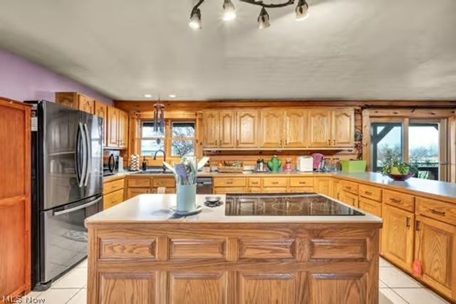 225 Township Road 581, Sullivan, OH 44880