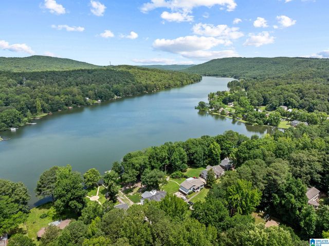 8210 CEDAR MOUNTAIN ROAD, Pinson, AL 35126