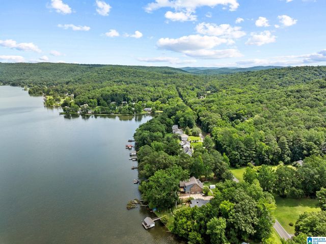 8210 CEDAR MOUNTAIN ROAD, Pinson, AL 35126