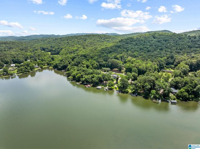 8210 CEDAR MOUNTAIN ROAD, Pinson, AL 35126