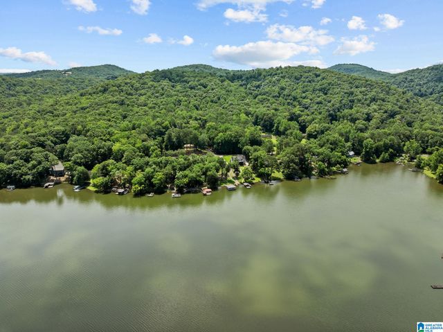 8210 CEDAR MOUNTAIN ROAD, Pinson, AL 35126