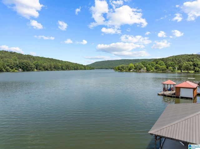 8210 CEDAR MOUNTAIN ROAD, Pinson, AL 35126