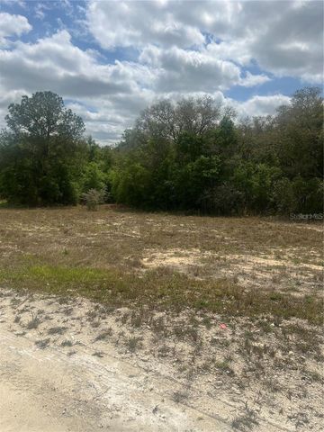 CLEFT ROCK ST, Webster, FL 33597