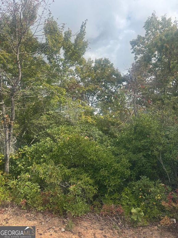 LOT 16 Brown Hawk Drive, Clayton, GA 30525 — exterior