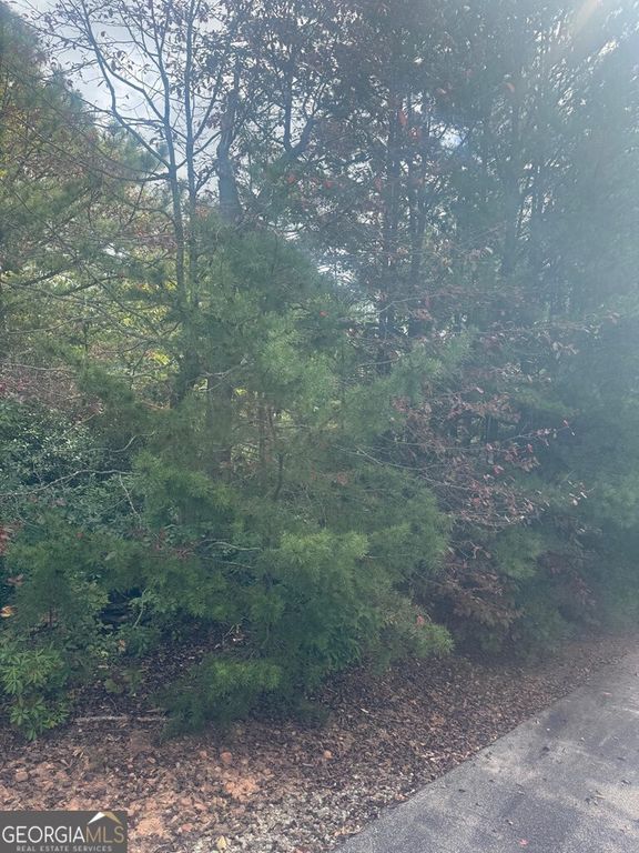 LOT 16 Brown Hawk Drive, Clayton, GA 30525 — photo 2
